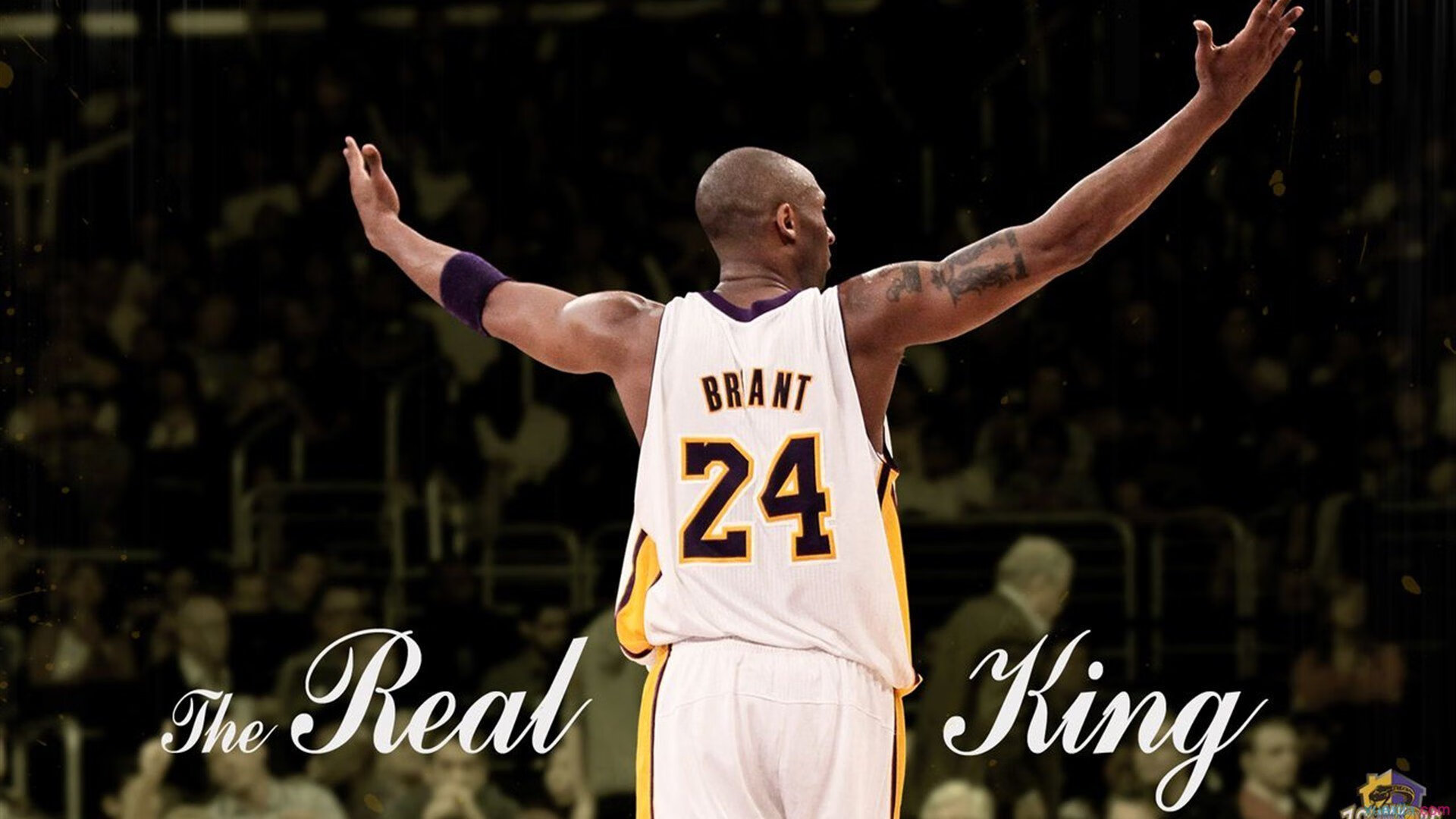 浓眉数据爆表湖人带动全队节奏，湖人浓眉伤势