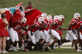 Jiuyou-76人球队文化墙正式揭幕展示历史荣誉，76人队图案